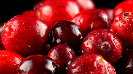 Macro view of fresh ripe cranberries.の写真素材