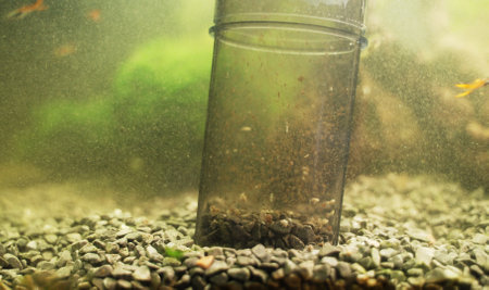 Using of battery powered gravel cleaner in aquarium.の写真素材