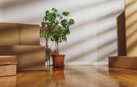 New home concept. Boxes in empty room.の写真素材