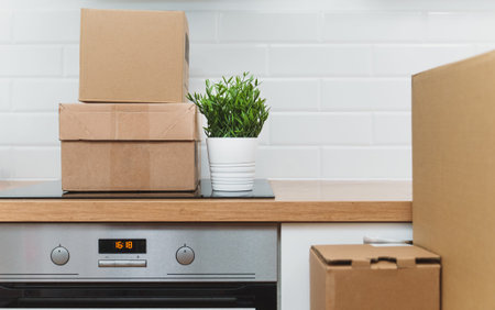 Flower pot and cardboard boxes on the new kitchen.