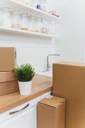 Flower pot and cardboard boxes on the new kitchen.の写真素材