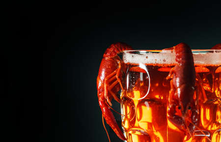 Boiled crawfish crawfish hanging on beer glass.の写真素材