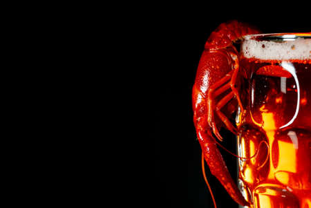 Boiled crawfish crawfish hanging on beer glass.の写真素材