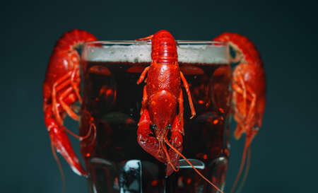 Boiled crawfish crawfish hanging on beer glass.の写真素材