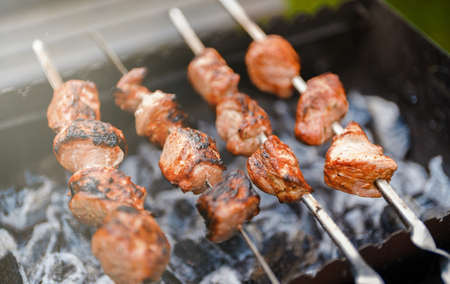 Tasty pork shashlik on the grill.の写真素材