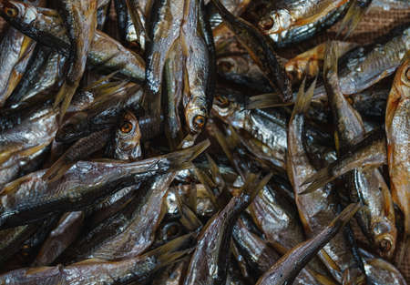 Lots of sun dried fish on the table.の写真素材
