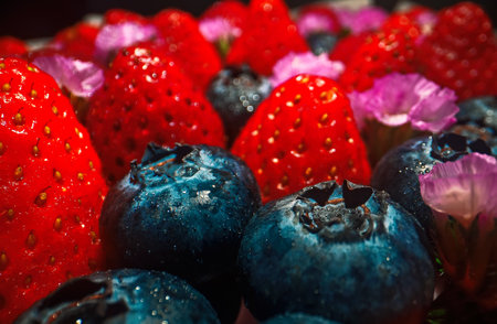 Macro shot of fresh blueberries and strawberries composition.の写真素材