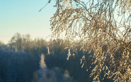 Spring has come. Sunny weather and last snow.