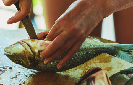 Woman guts a dorado fish with knife.の写真素材