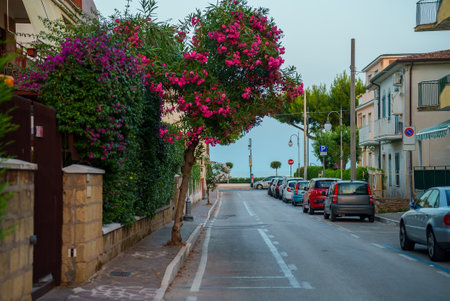 Traditional italian street in Scauri, Italy.の写真素材