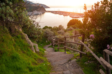 Beautiful path leading down the cliff to the sea.の写真素材