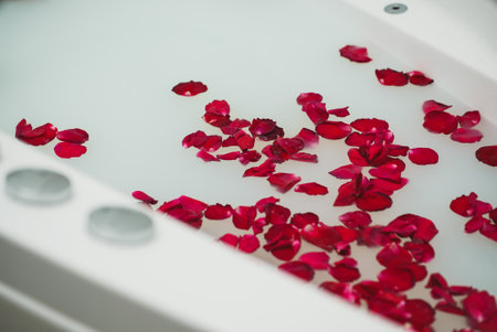 Red rose petals floating in bathtub with milk.の写真素材