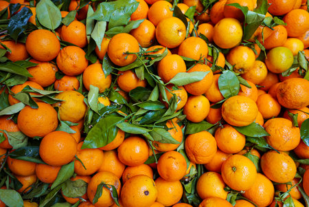 Lots of eco friendly oranges in the city market.
