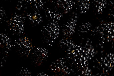 Lot of shiny fresh ripe blackberries.の写真素材