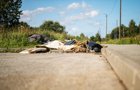 Lots of trash on the side of the road.の写真素材