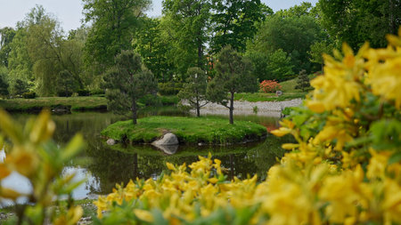 Picturesque Japanese garden with a pond.