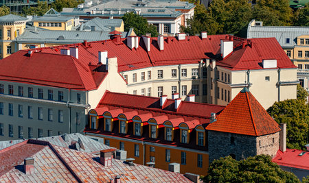 Houses with red and orange roofs in old Tallinn.の写真素材