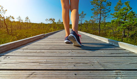 Woman on the wooden boardwalk on the swamp lake. Bog hiking.の写真素材