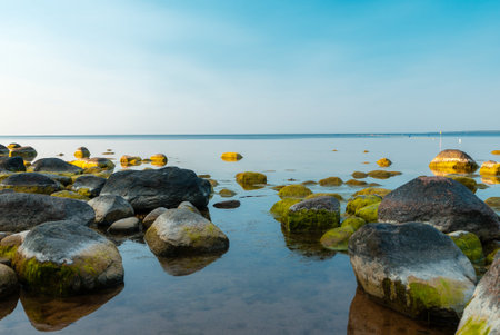 Baltic sea coast with boulders and stones.