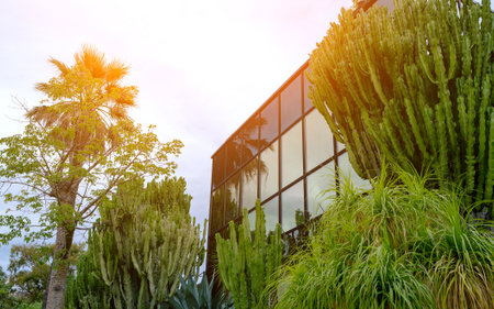 Modern Glass Building Surrounded by Tropical Plants and Cacti.の写真素材