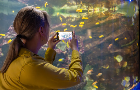 Woman recording video or photographing fishes in the aquarium.の写真素材