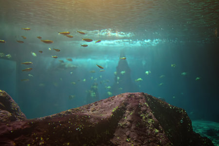 Underwater world. Coral reef with fish.の写真素材