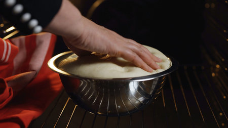 Dough for proofing in the oven.