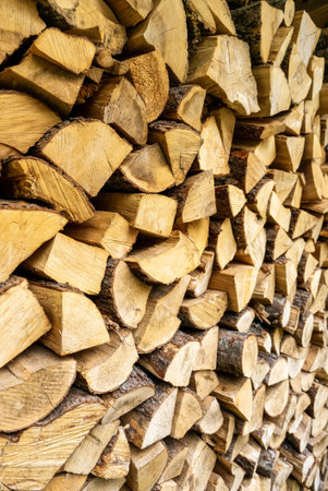 Stack of neatly chopped firewood in a wooden shed.