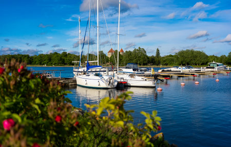Sailboats and motorboats moored at a tranquil marina.の写真素材