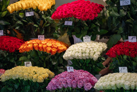 Bright and Colorful Rose Display with Price Tags.の写真素材