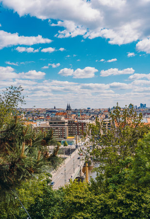Prague cityscape framed by green foliage.の写真素材