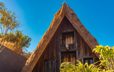 Traditional triangular house with thatched roof in Santana.の写真素材