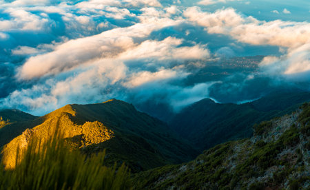 Dense cloud layer covering mountain peaks at sunset.