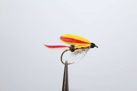 fly fishingの写真素材