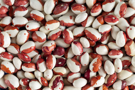 Heap ot white and red legumes beans close-up
