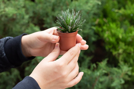Female gardener holding tiny potted aloe on green backgroundの写真素材