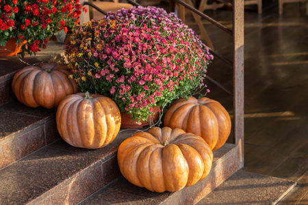 Thanksgiving or Halloween decorated front door with large pumpkins and chrysanthemum. Autumn season conceptの写真素材