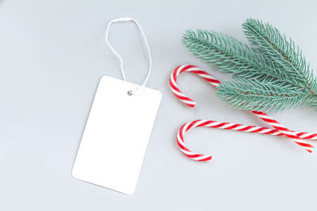 Christmas sale background with blank paper price tag, xmas tree branch and candyの写真素材