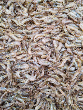 Fresh raw shrimps top view ready for sale at seafood market. Whole shrimp background