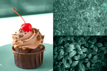 Creative collage with turquoise emerald green color texturesの写真素材