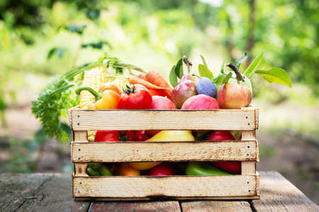 Fresh organic vegetables and fruit in wooden crate. Healthy food on garden backgroundの写真素材