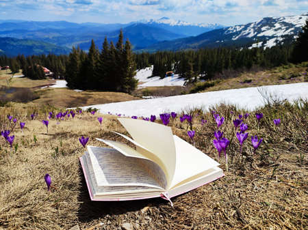 Open book on beautiful Ukrainian Carpathian mountains landscape backgroundの写真素材