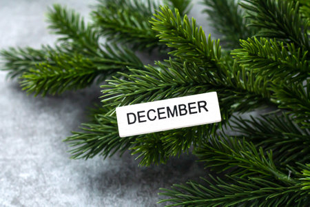 Hello December and winter mood background with spruce branchesの写真素材