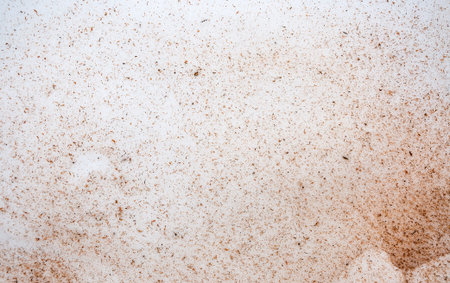 Texture of sawdust in the snow