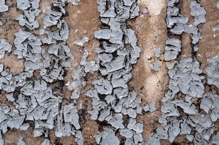 Peel-off grey paint on the stone wall flopsの写真素材