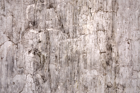 Texture cracked white Foundation.の写真素材