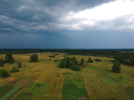Huge forest from the height of summerの写真素材