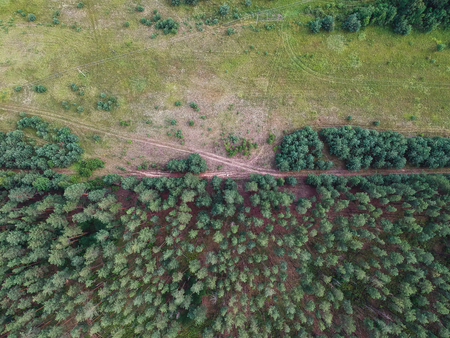 Separation of dense and rare forest from the heightの写真素材