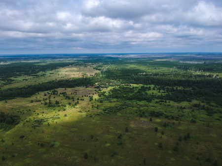 Huge forest from the height of summerの写真素材