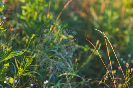 Grey paving textureの写真素材